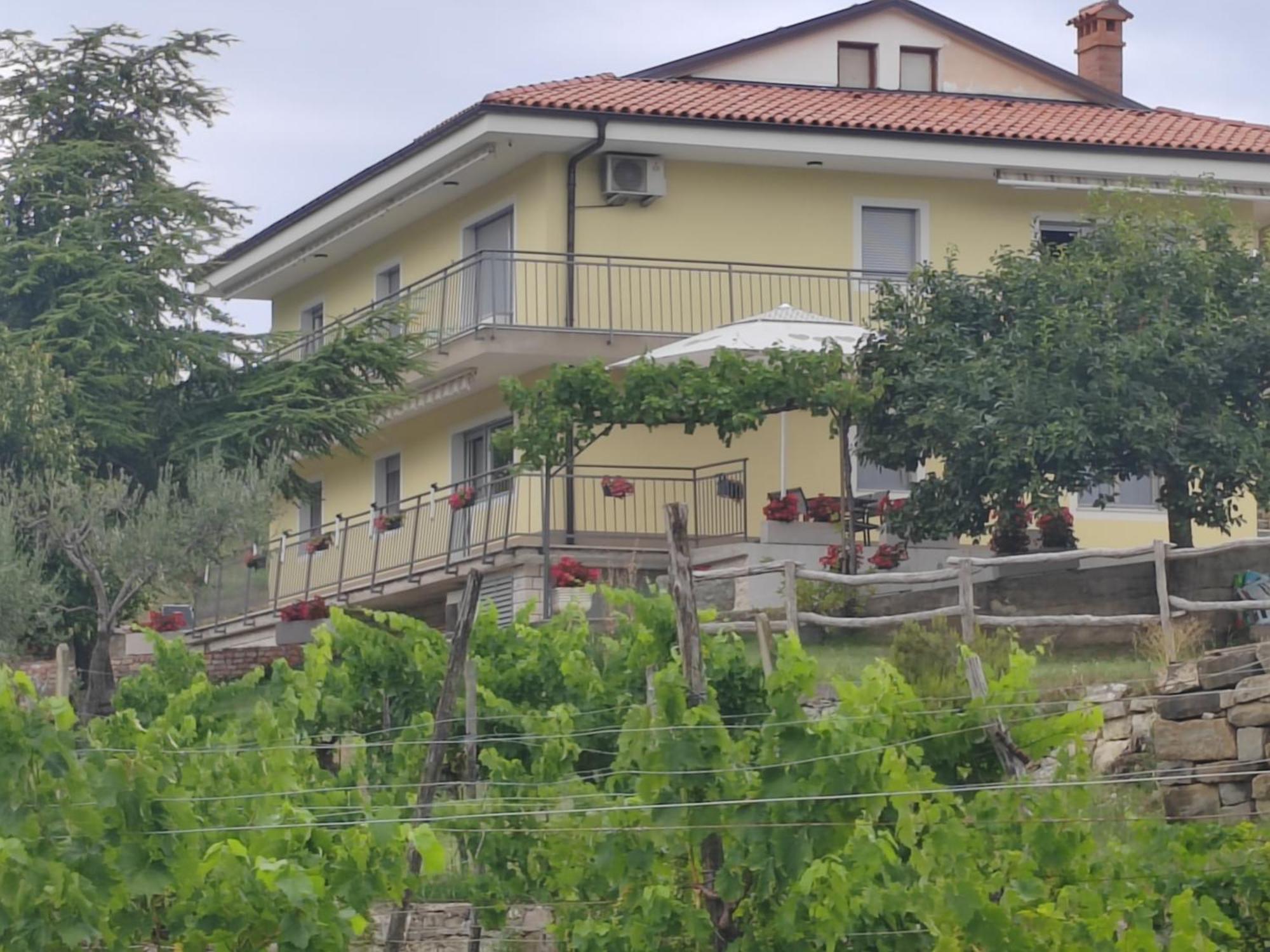 Apartma Belveder Izola Exterior photo